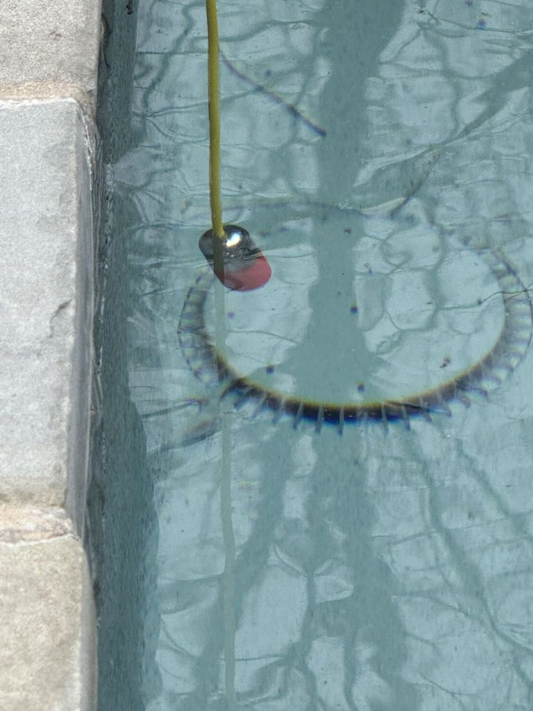 Pool Leak Detection and Inspection